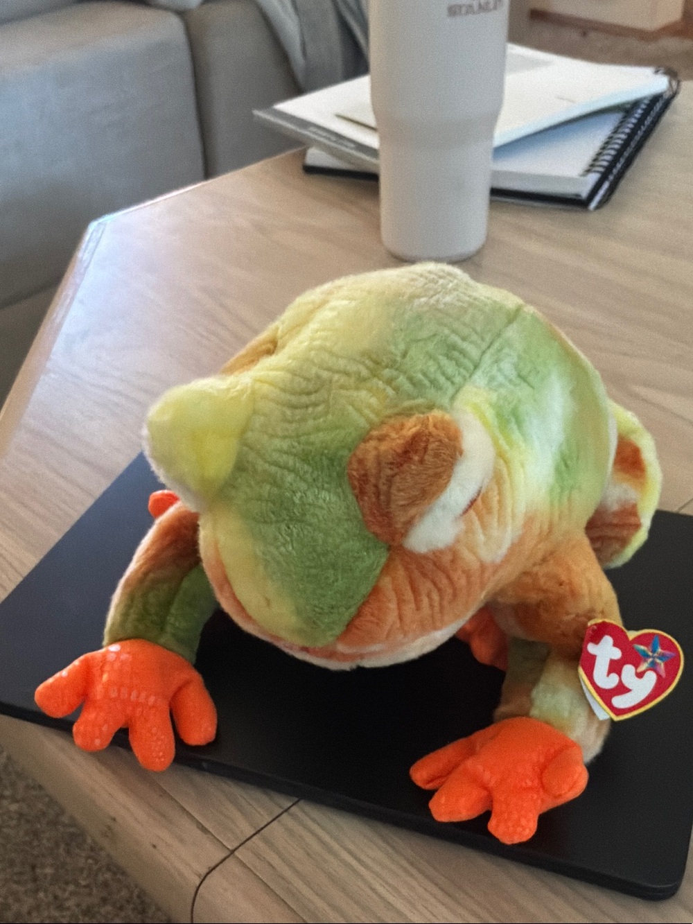 Ty Plush Frog in Green, Orange and Yellow